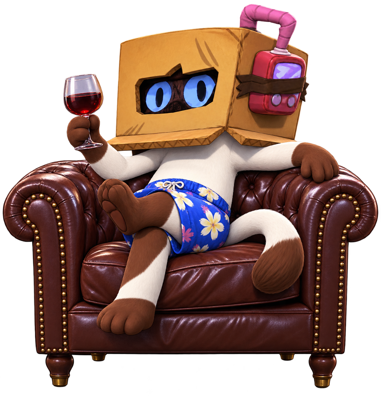 Attoo relaxing in an armchair